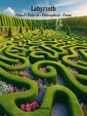 cover image of Labyrinth